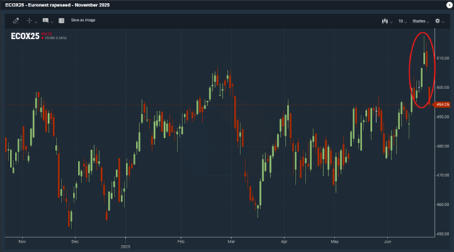 Senaste utvecklingen av Euronext-rapsfuturen (november 2025)
