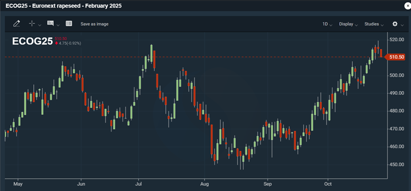 Bild: Den senaste utvecklingen för Euronext-rapsfuturen (februari 2025)