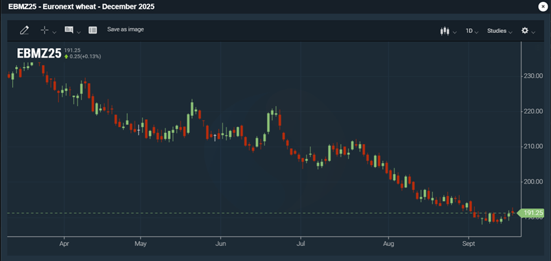 Euronext vehnäfutuurin (joulukuu -25) viimeaikainen kehitys 