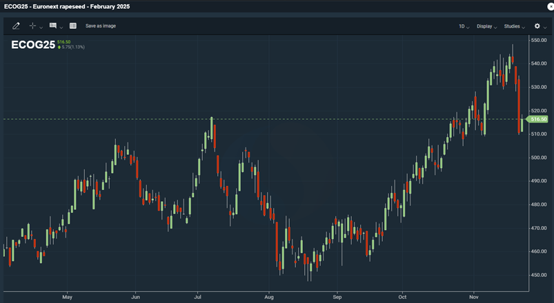 Bild: Den senaste utvecklingen för Euronext-rapsfuturen (februari 2025)