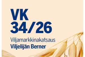 Viljamarkkinakatsaus vko 34