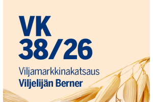 Viljaa riittää, mutta se ei liiku