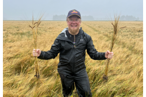 Incelo Star nyt kevätvehnälle – näyttävät tulokset Huhtasen tilalta