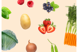 Teams kaffit marjan, vihannesten ja perunan viljelijöille