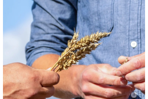 Vahvistamme organisaatiota, haemme Myyntipäällikköä