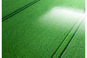 Kasvinsuojeluruiskutusta