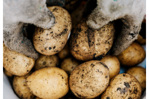 Tervetuloa joulukahville ja peruna-iltaan Lapväärtiin 10.12.