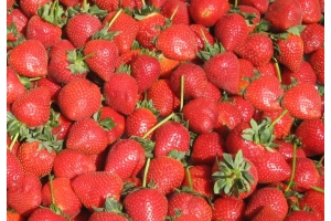 hyvän makuisia mansikoita