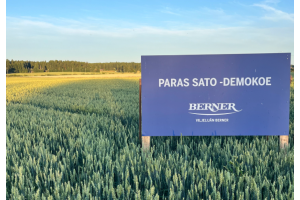 Demoko Nakkila, kevätvehnää