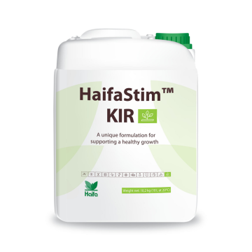 HaifaStim KIR