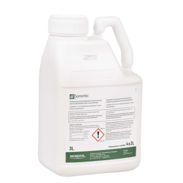 SORRENTO 3 l