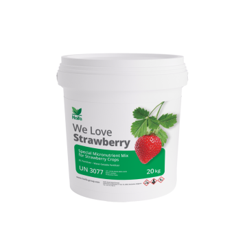 Haifa We Love strawberry 20kg