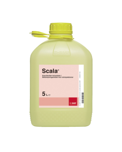 Scala 5L