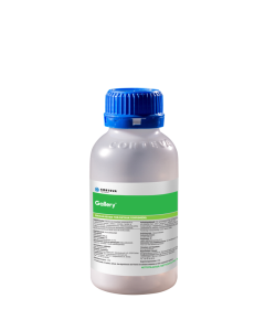 Gallery 500 ML