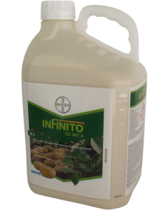 Infinito 10 l