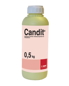 Candit 0,5kg