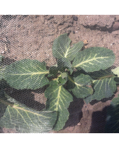 Hy&ouml;nteisverkko Gro-Net FB/2 0,6 mm