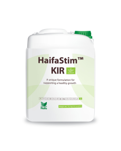 HaifaStim KIR