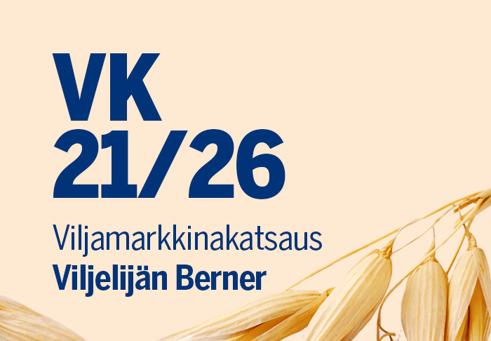 Viikon 21 viljamarkkinakatsaus