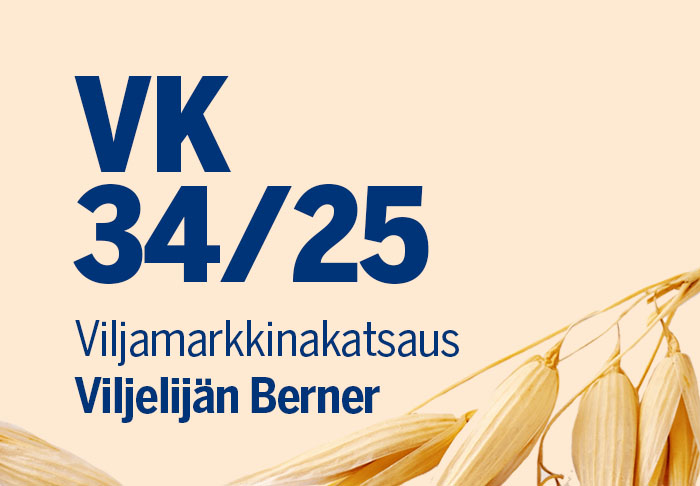 Viljamarkkinakatsaus vko 34