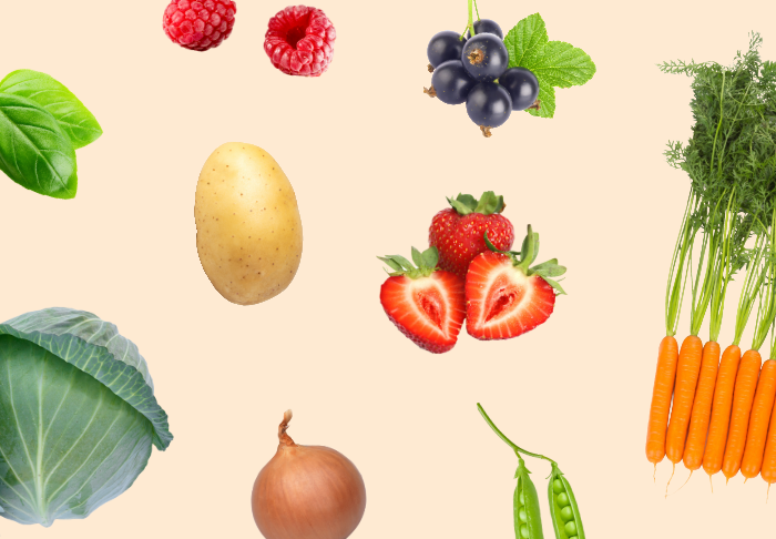 Teams kaffit marjan, vihannesten ja perunan viljelijöille