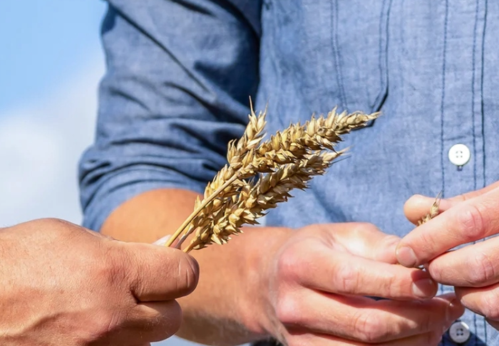 Vahvistamme organisaatiota, haemme Myyntipäällikköä