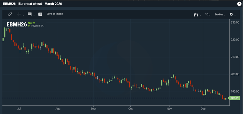 Kuva: Euronext -vehn&auml;futuurin (maaliskuu -26) viimeaikainen kehitys 