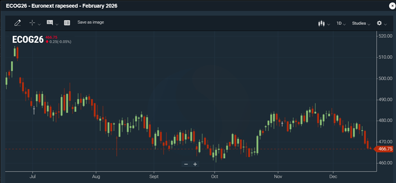 Kuvat: Euronext -rapsifutuurin (helmikuu -26 ja Chicagon soijapapufutuurin (maaliskuu -26) viimeaikainen kehitys 