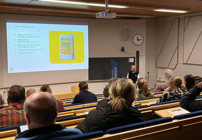 Haifan myyntiedustaja kertoo kalsiumnitraatti lannoituksen vaikutuksesta sadon laatuun.