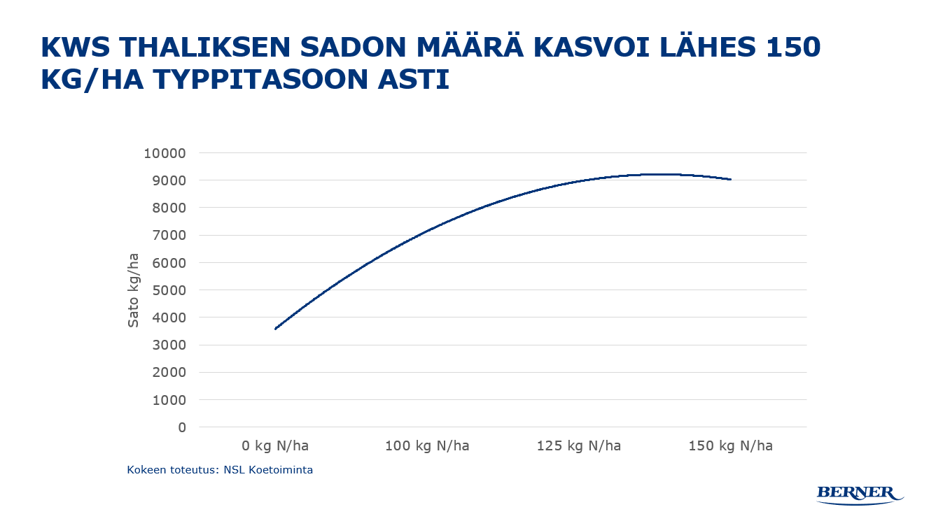 KWS Thaliksen sadon määrä kasvoi lähes 150 kg/ha typpitasoon asti