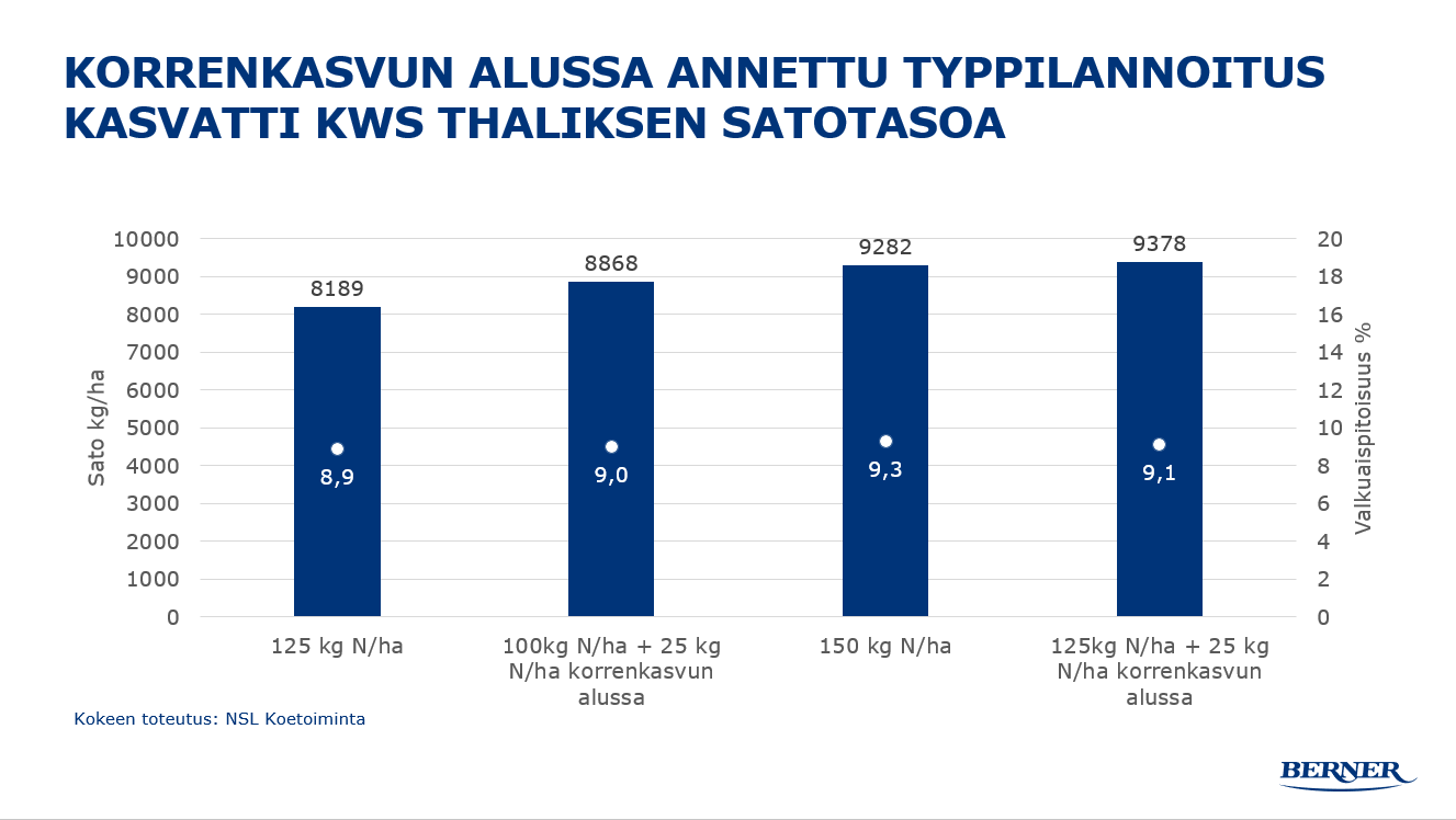 Korrenkasvun alussa annettu typpilannoitus kasvatti KWS Thaliksen satotasoa