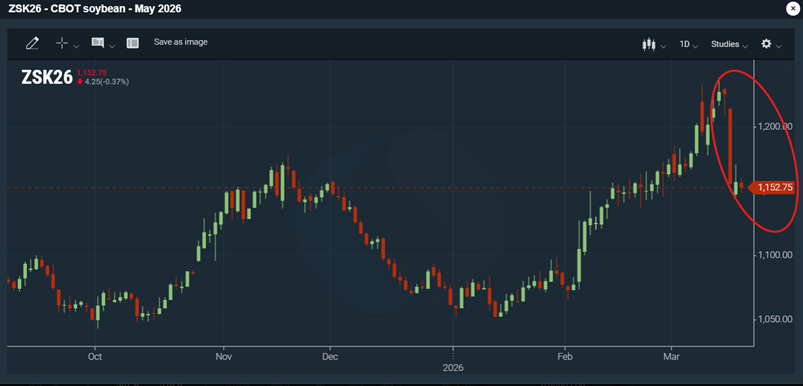 Chicagon soijapapufutuuri (toukokuu -26) 