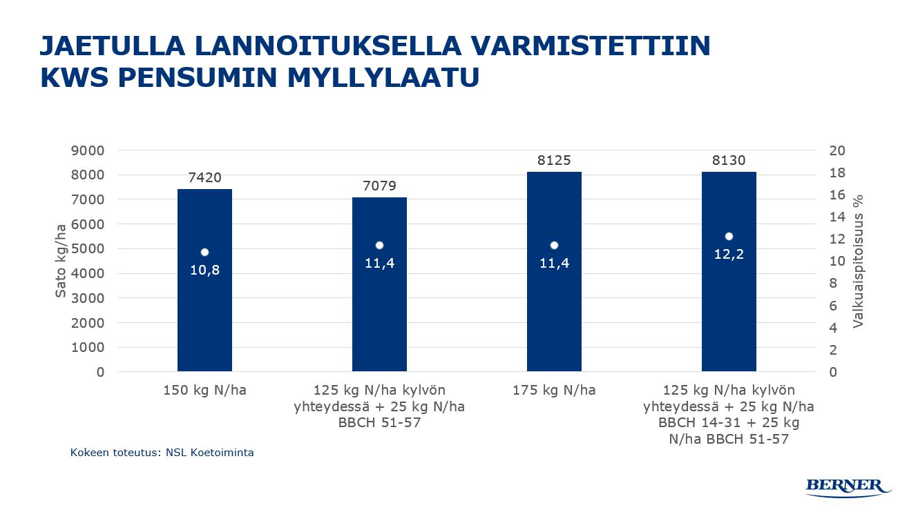 Jaetulla lannoituksella varmistettiin KWS Pensumin myllylaatu