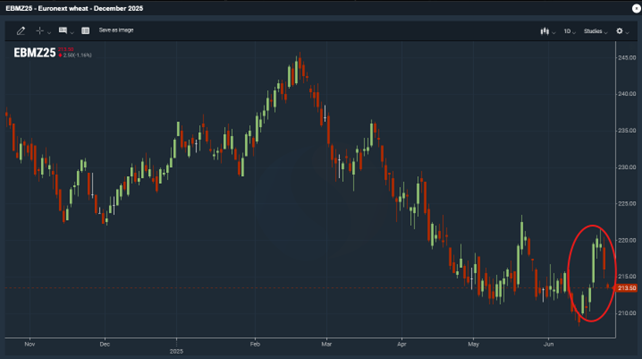 Euronext vehnäfutuuri (joulukuu -25)