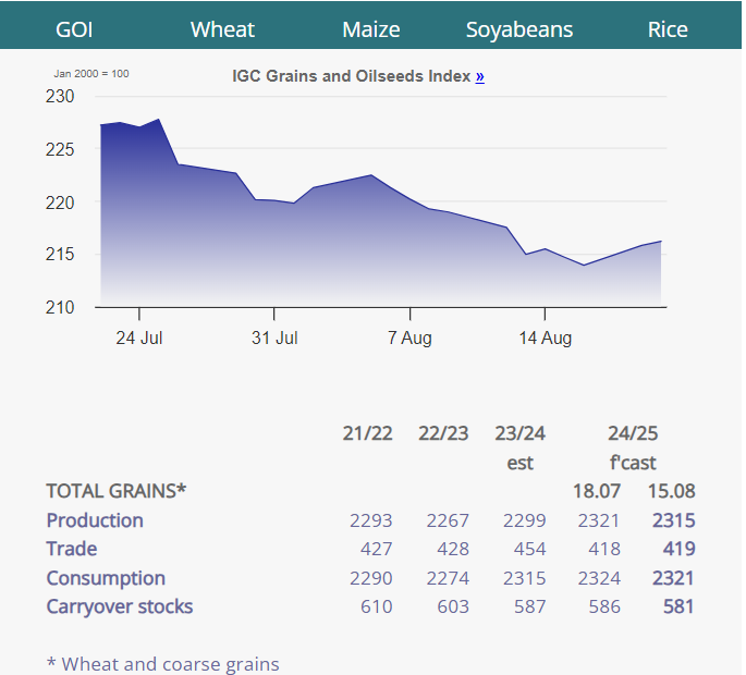 Kuva: Globaali viljasatoennuste (lähde: International Grains Council, IGC)