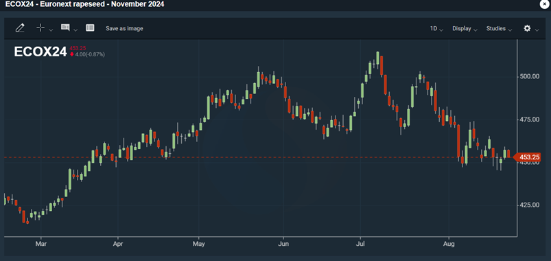 Kuva: Euronext-rapsifutuurin (marraskuu 2024) viimeaikainen kehitys