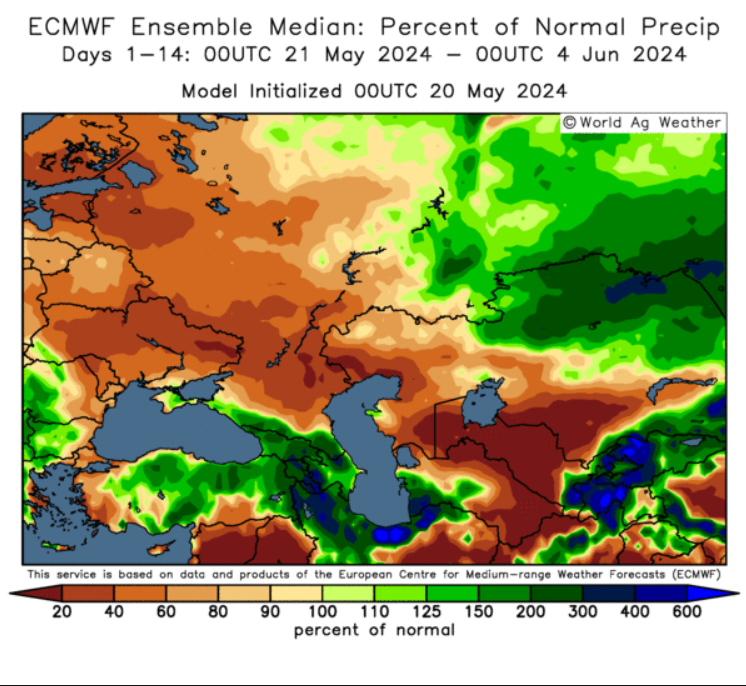 Venäjän viimeaikainen kuivuus on alkanut syödä ennustettuja satotasoja