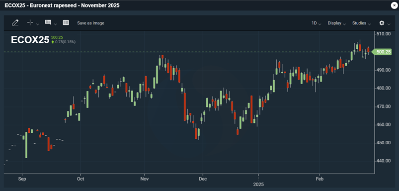 Bilder: Den senaste utvecklingen av Euronext-rapsterminerna (maj 2025, november 2025).