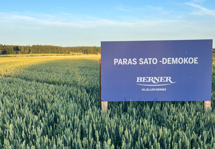 Demoko Nakkila, kevätvehnää