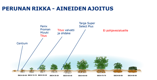 perunan rikka-aineiden käyttöajankohta Käyttöajankohta ja kasvuaste perunan rikkaruiskustus