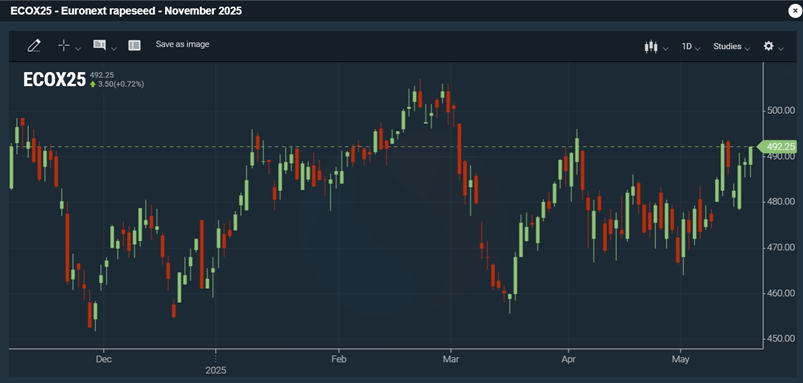 Euronext-rapsifutuurin (marraskuu 2025) viimeaikainen kehitys